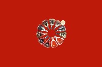 湛江遂溪回收红酒